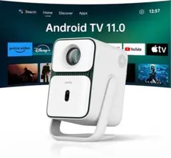 Item thumbnail for item 29315bf0-a441-4286-bdf2-d329a0e1e505