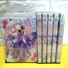 王子様に溺愛されて困ってます 〜 転生ヒロイン、乙女ゲーム奮闘記～ 1-6巻