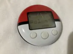 ポケモンウォーカー　DS 動作確認済み　新品電池付き