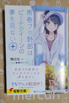 青春ブタ野郎はビーチクイーンの夢を見ない+　小説　ラノベ　青ブタ