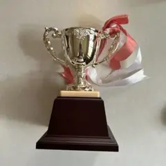 トロフィー メタル製 シルバーと金色