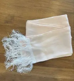 Item thumbnail for item 09b4115f-7c9b-4695-bb95-87ee80ba44b6