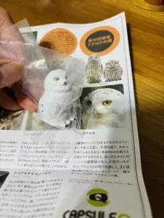 カプセルQミュージアム 福をよぶ フクロウ大全 シロフクロウ
