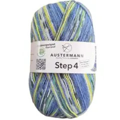 Austermann　アウスターマン　Step4　フィットネス　515番