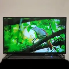 2025年最新】regza 43c310x 43インチの人気アイテム - メルカリ
