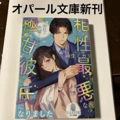 相性最悪な極甘彼氏になりました