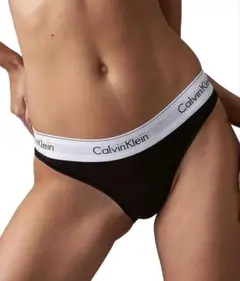 Calvin Klein ビキニショーツ F3787AD Lサイズ