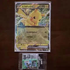 ポケットモンスター スペシャルルカリオ