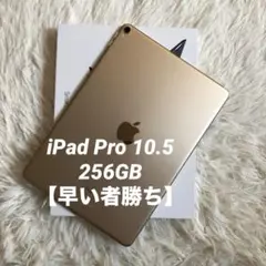 【完動品】iPad Pro 10.5 256GB ゴールド 【すぐ発送】