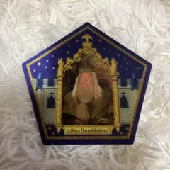 USJ ハリーポッター カエルチョコ カード ユニバ 特典 おまけ