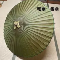 Item thumbnail for item aed818b4-487d-494d-97fd-26197df02b53