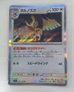 ヨルノズク　【R】