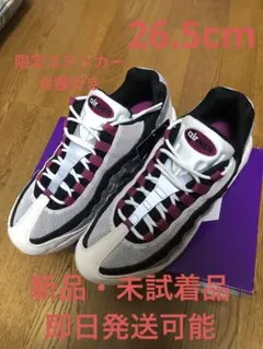 Nike SB Air Max 95 "Cactus Flower"