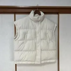 Item thumbnail for item 29b1a3ff-93c0-4e63-ae77-bceaf2215a87