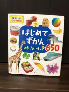 はじめてずかん 650