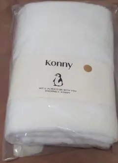 Item thumbnail for item e74a261d-3e9e-48a5-81c1-650b88c97b31