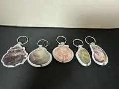 光ってるカイぴかりんライトキーホルダー　5種セット