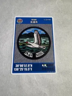 【非売品】佐渡市 マンホールカード 第6弾 新穂地区