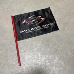 ballistik boyz フラッグARENA LIVE2025 impact