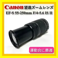 Item thumbnail for item 94764fb7-7fb3-44d8-8b06-631c0b9dcc89