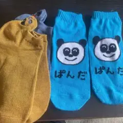 セサミストリート　パンダ　3足セット