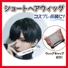フルウィッグ メンズ 男装 ショートヘアー コスプレ 仮装 黒 かつら