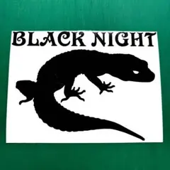 Item thumbnail for item 1b02375a-3820-4385-90e7-4468f8a9392d