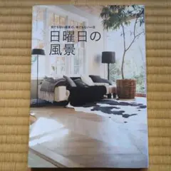 日曜日の風景 何でもない週末の、何でもない一日