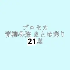 プロジェクトセカイカラフルステージ 青柳冬弥 まとめ売り28点