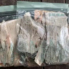 北海道産　白樺の皮　着火剤に最適　50g✖︎2点