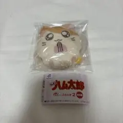 ハム太郎 カプっこフレンズ2
