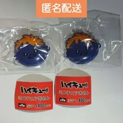 ハイキュー!!　ミニチュアおめん ヒナガラス　2点セット