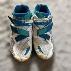 Item thumbnail for item b56295ca-325f-4c31-8eb8-7ca1f714b8e1