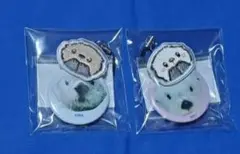 三重県　鳥羽水族館　ラッコ キラ メイ 缶バッチ&キーホルダー ２個セット
