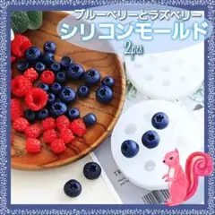 ブルーベリー・ラズベリー シリコンモールド❀.*・゜ 2個セット