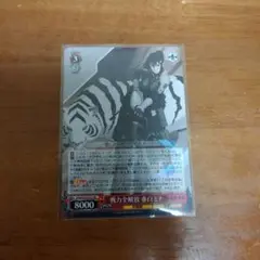 ヴァイスシュバルツ　怪獣8号　戦力全解放　亜白ミナ　RR
