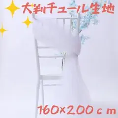 Item thumbnail for item c1813a2b-c401-4437-a391-149c8d51a94e