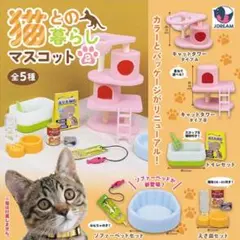 猫との暮らしマスコット2 コンプリート