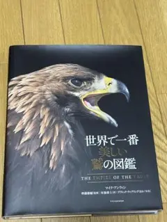 世界で一番美しい鷲の図鑑