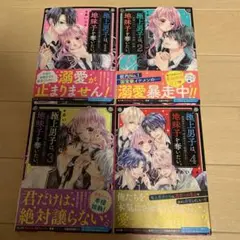 極上男子は、地味子を奪いたい。 1巻2巻セット