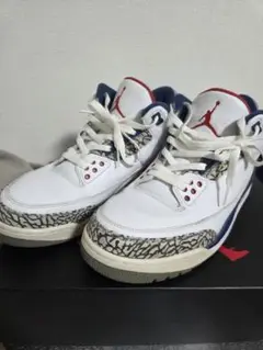 NIKE　Air Jordan 3 レトロ　トゥルーブルー　エアジョーダン