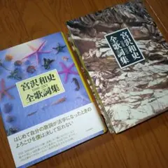 宮沢和史 限定版 シリアルナンバー付き 全歌詞集 1989-2001