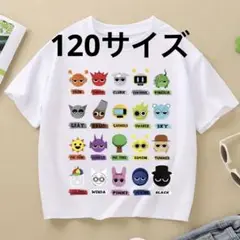 スプランキー　Tシャツ 120サイズ相当　ブラック　黒 m13