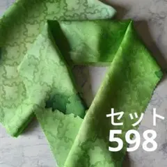 Item thumbnail for item c1e0d26e-5f1d-446b-a396-ccd15fd50c65