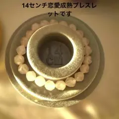 14センチ恋愛成熟ブレスレットです