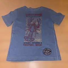 L.L.Bean ロブスター Tシャツ M5-6