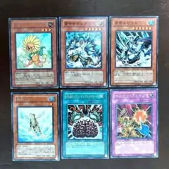 EU版 ダンディ・ライオン AP レリーフ 遊戯王 海外 英語 米 EU版 ダンディ・ライオン AP レリーフ 遊戯王 海外 英語 米