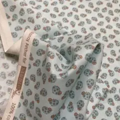 50㎝