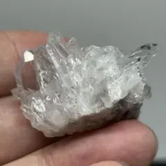 Item thumbnail for item 45d2b745-c6a9-43ea-843c-aeabbb6d3eea