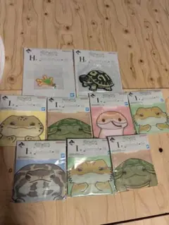1番クジ 爬虫類 両生類